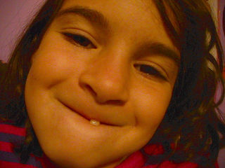 2008 11 26 1