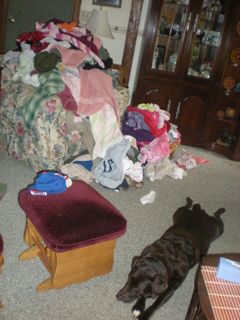 Doofus-laundry