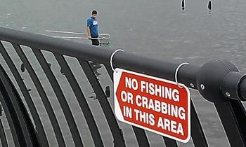 Not Listening!