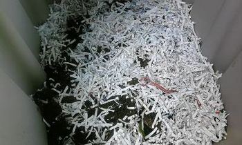 Worm box open