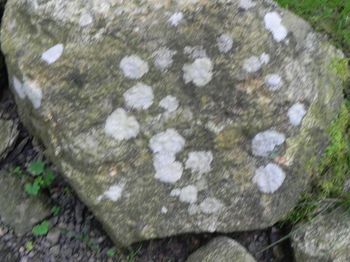 Rock