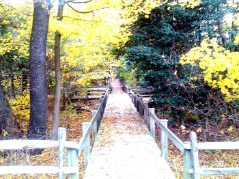 Brookdale Path