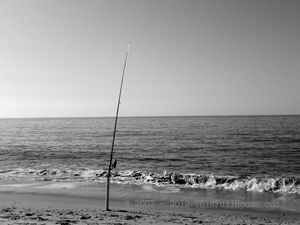 Fishing Rod