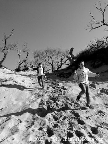 Children of the Sand Dunes
