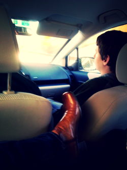 View from the backseat