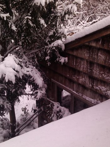 Frozen clothes line