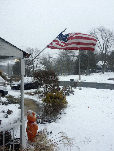 20150126_123955-MOTION